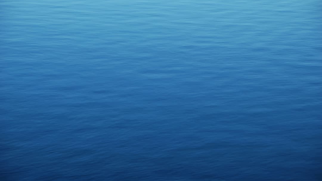 Download free virtual backgrounds | Univid