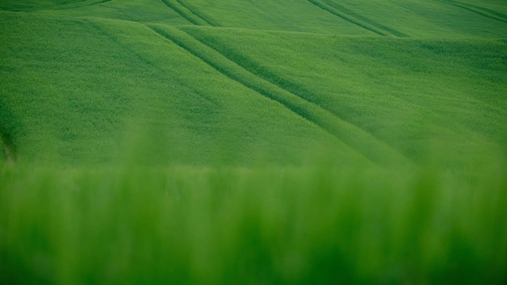 Download free virtual backgrounds | Univid